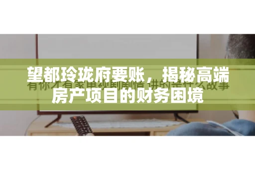 望都玲珑府要账，揭秘高端房产项目的财务困境