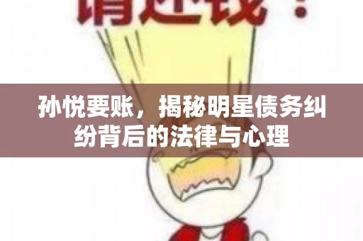 孙悦要账，揭秘明星债务纠纷背后的法律与心理