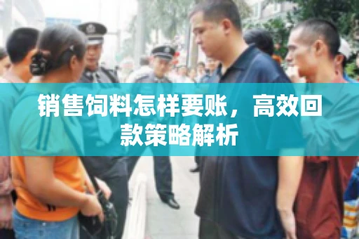 销售饲料怎样要账，高效回款策略解析