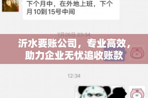 沂水要账公司，专业高效，助力企业无忧追收账款