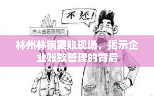 林州林钢要账现场，揭示企业账款管理的背后