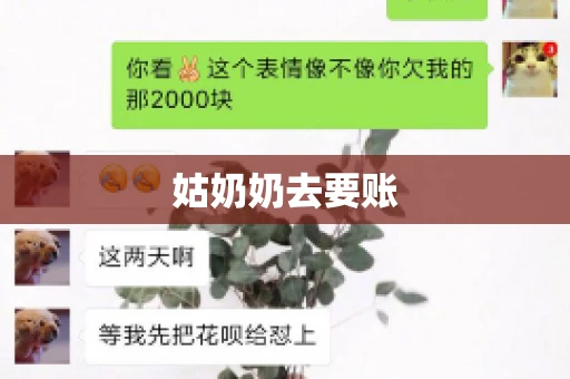姑奶奶去要账 姑奶奶去要账