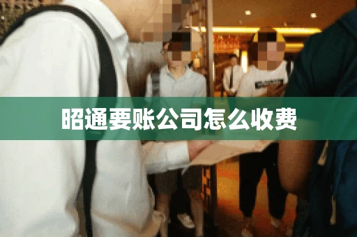 昭通要账公司怎么收费