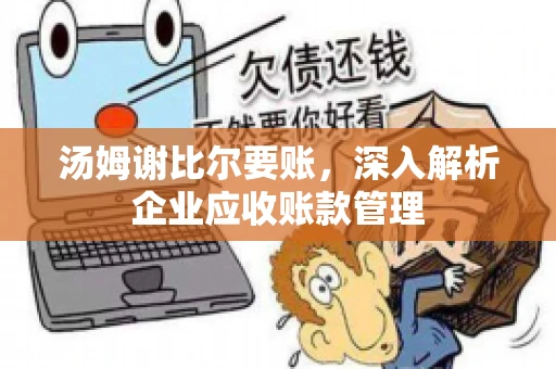 汤姆谢比尔要账，深入解析企业应收账款管理