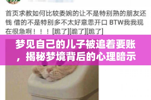 梦见自己的儿子被追着要账，揭秘梦境背后的心理暗示