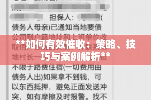 **如何有效催收：策略、技巧与案例解析**