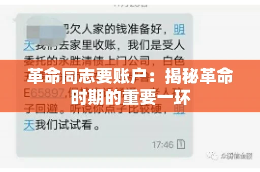 革命同志要账户：揭秘革命时期的重要一环