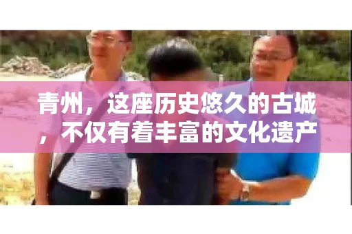 青州，这座历史悠久的古城，不仅有着丰富的文化遗产，也是商业活动频繁的地方。对于许多企业来说，应收账款的管理是日常运营中不可或缺的一环。那么，青州那里有要账的公司呢？今天，我们就来聊聊这个话题。