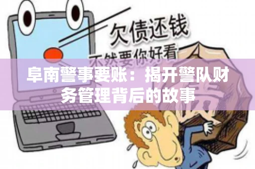 阜南警事要账：揭开警队财务管理背后的故事