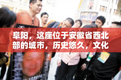 阜阳，这座位于安徽省西北部的城市，历史悠久，文化底蕴深厚。近年来，随着经济的发展，商业活动日益频繁，随之而来的是应收账款的管理问题。那么，阜阳有木有要账公司呢？今天，我们就来聊聊这个话题。