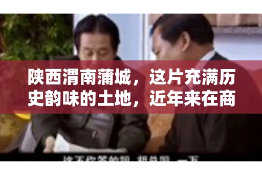 陕西渭南蒲城，这片充满历史韵味的土地，近年来在商业活动中也展现出了其独特的活力。其中，关于“陕西渭南蒲城要账”的话题，成为了不少企业关注的焦点。今天，我们就来聊聊这个话题，看看在蒲城，要账的那些事儿。