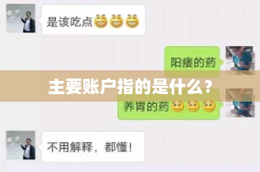 主要账户指的是什么？