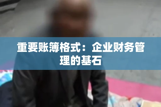 重要账簿格式：企业财务管理的基石