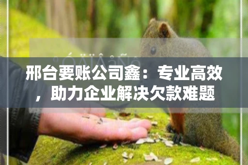邢台要账公司鑫：专业高效，助力企业解决欠款难题