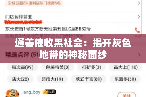 通善催收黑社会：揭开灰色地带的神秘面纱