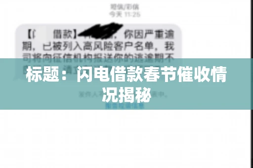 标题：闪电借款春节催收情况揭秘