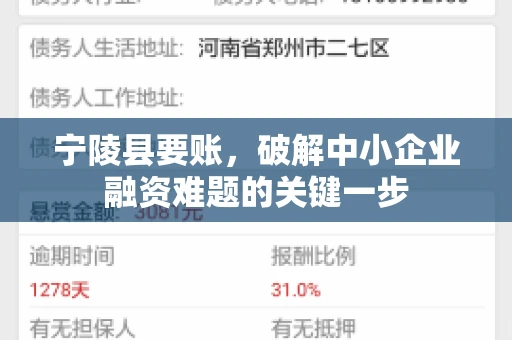 宁陵县要账，破解中小企业融资难题的关键一步