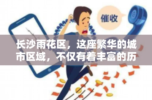 长沙雨花区，这座繁华的城市区域，不仅有着丰富的历史文化，还有着繁忙的金融活动。其中，催收公司作为金融行业的一个重要组成部分，在这里也有着不少的身影。那么，长沙雨花区都有哪些催收公司呢？今天，我们就来聊聊这个话题。