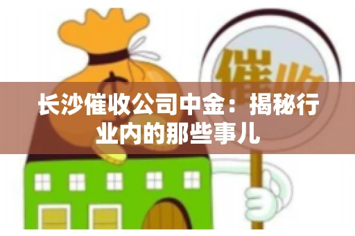 长沙催收公司中金：揭秘行业内的那些事儿