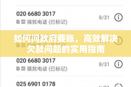 如何问政府要账，高效解决欠款问题的实用指南